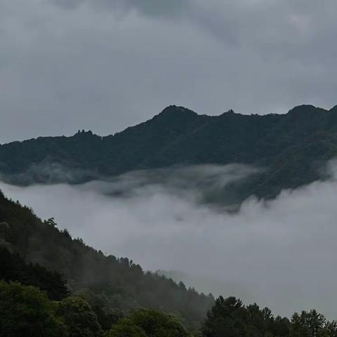 清凉之境——山中夜雨后的清晨