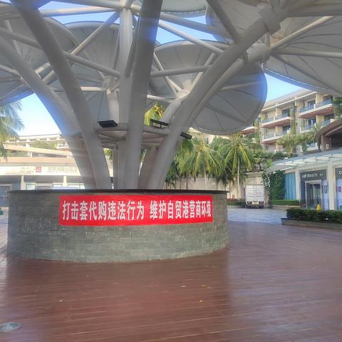 琼海博鳌免税店党支部开展离岛免税“套代购”宣传