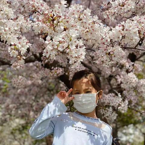 快乐童年，留下美好回忆！樱花🌸真漂亮啊！祝小可爱们玩的开心快乐每一天！🎊🌹👍
