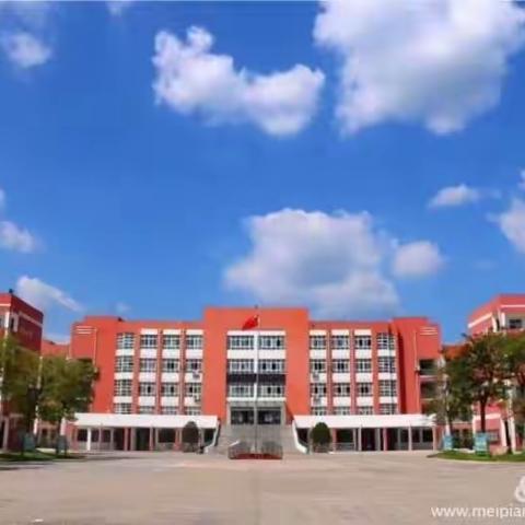 泗阳经济开发区学校1805小白桦中队精彩回眸