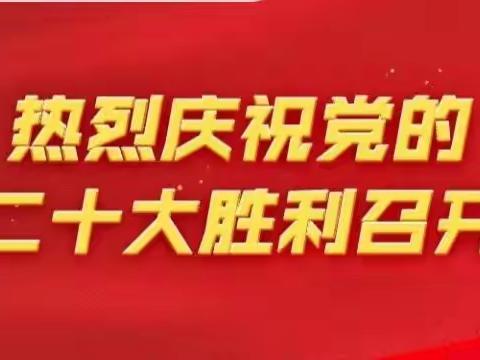 渠道平台部党支部开展观看中国共产党第二十次全国代表大会会议及会后党支部集中学习研讨