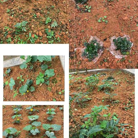 生活不因“疫”而止于前——看南幼娃的宅家生活