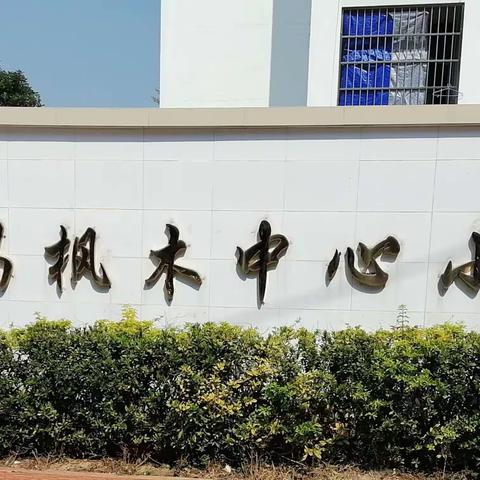 展风采 真教研 共成长——记枫木中心小学公开课教研活动