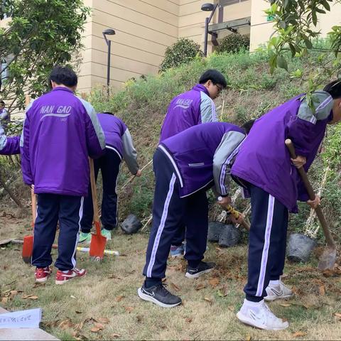 携手同行，共建绿色校园（南充高中临江校区高2021级11班）