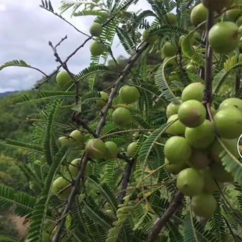 诗歌：《分享》