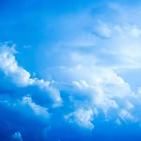 曝风雨前后  2020年8月17日傍晚，一场暴风骤雨路过平顶山市区。