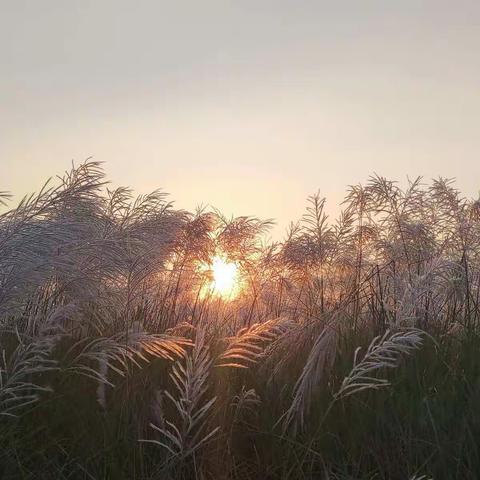 夏天的思念，秋日却适合重逢