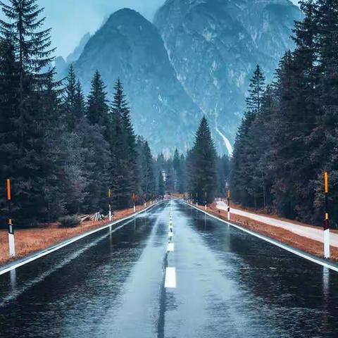 《我的2019》襄职—小学教育1805施金玲