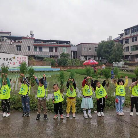 种下希望 收获美好——岭寨小学附属幼儿园首次户外亲近大自然之旅