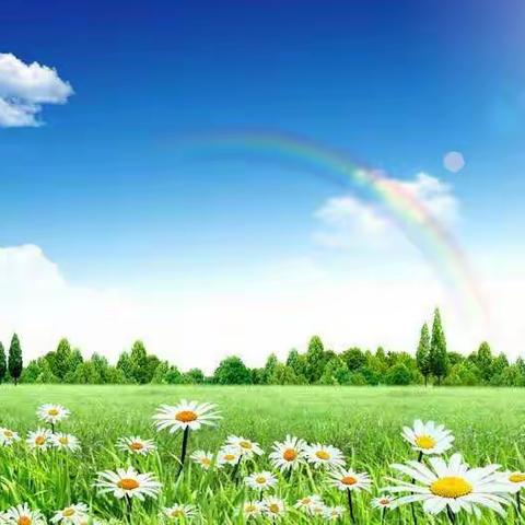 彩虹实验齐奋进，空中课堂谱新篇  ---实验学校小学部数学团队网课纪实