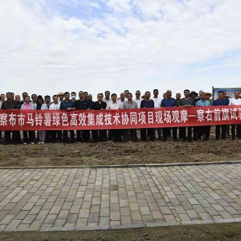 乌兰察布市农技推广站圆满召开马铃薯绿色高效技术协同项目观摩会