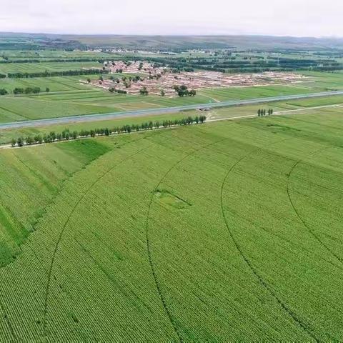 内蒙古自治区科技重大专项 ——地膜减量与回收关键技术和配套装备的开发及利用