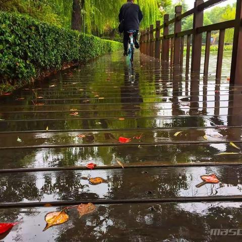 雨夜独感