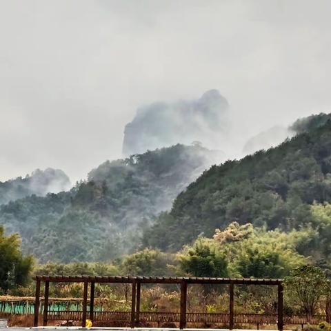 韶关，巴寨山_丹霞山最高峰，享有丹霞至尊之美称，茂密的树林，险峻的登山路，陡峭的栈道，茶壶峰姐妹峰，让人依畏