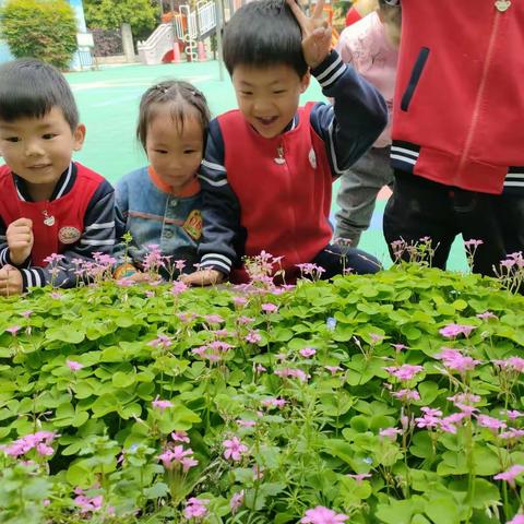 中一班4月份精彩瞬间😊😊😊