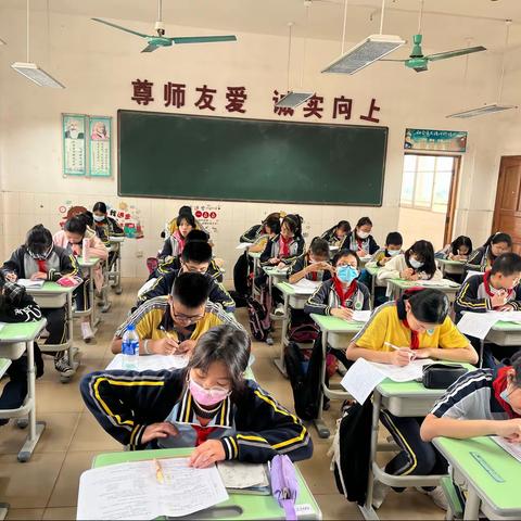 徐徐回望  感恩成长——记跟岗学习第十九、二十周生活