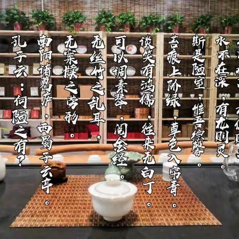 茶之心语，与茶为伴