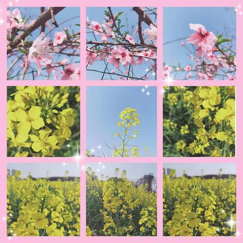 师生一路同行，遇见不一样的自己——北实小六年级数学组第三周线上教学总结