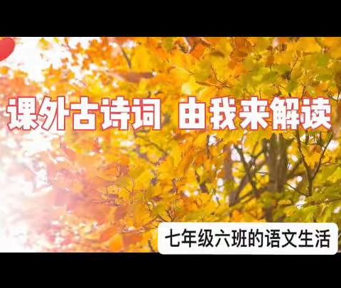 课外古诗词 由我来解读