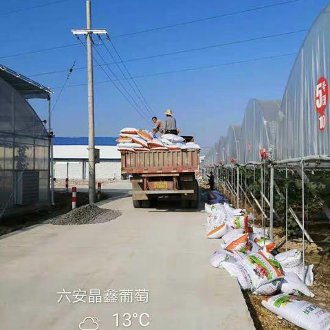 阜阳义丰有机肥2022各大市场铺货情况美篇