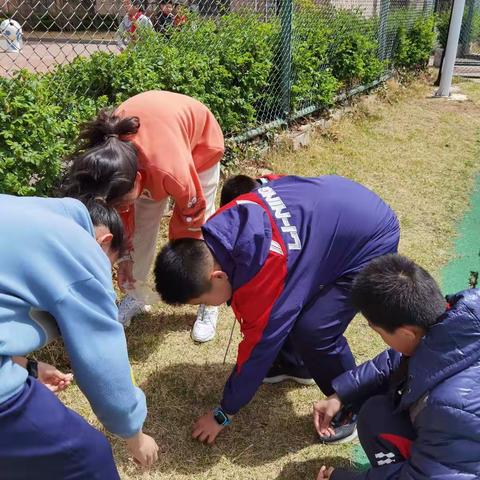 我是环保小卫士