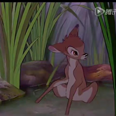 小鹿斑比观后感