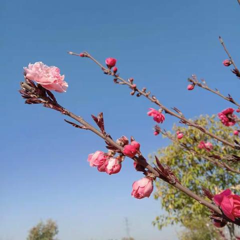 送给自己的生日