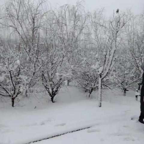 致亲爱的同学们