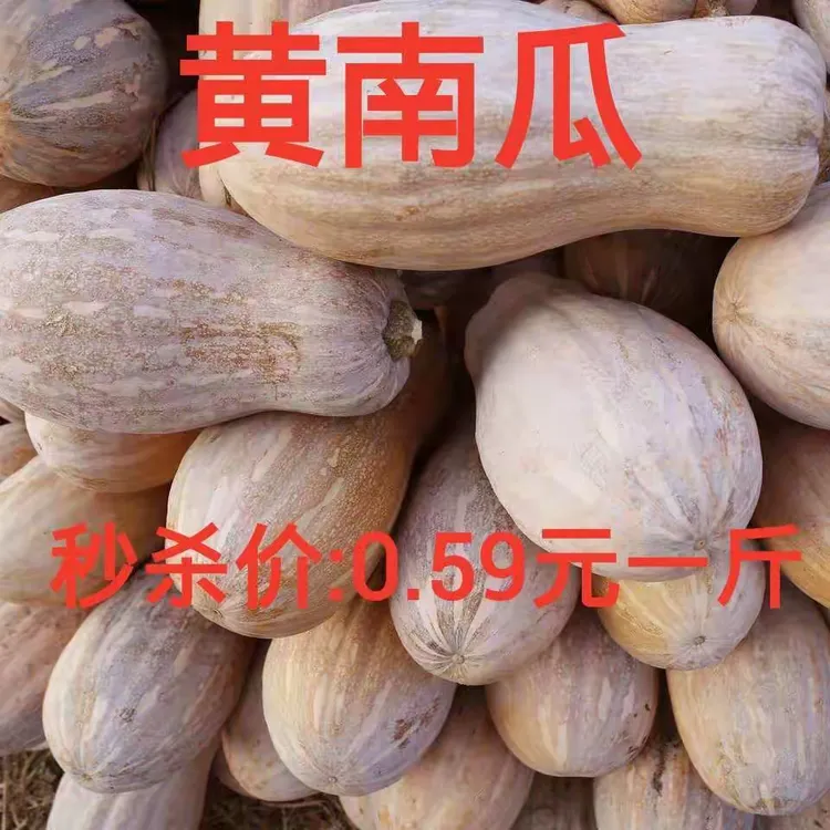 海南黄南瓜只需:0.59元一斤
