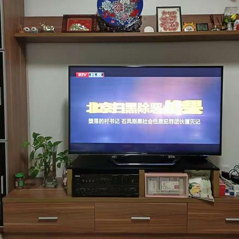 林科院社区党支部组织社区干部观看扫黑除恶专项斗争战果专题片