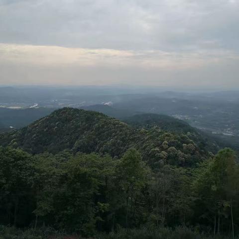 大塘村赋