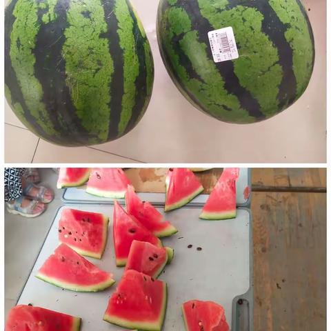 一根绳，一条心——晨中学校拔河比赛