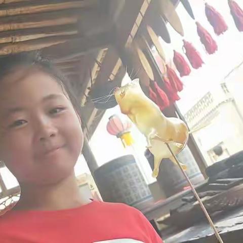 陈恩籽暑期游学随笔