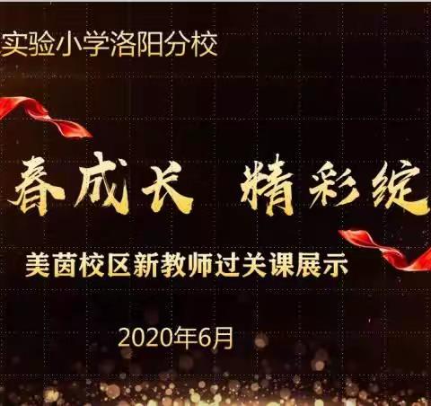 “青春成长•精彩绽放”——美茵校区新入职教师过关课展示