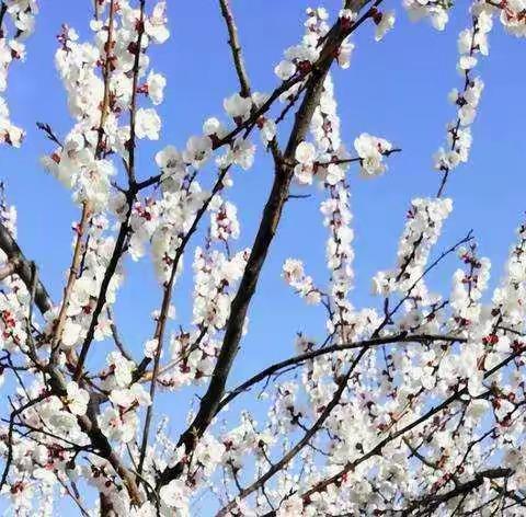 骨干园长培训之旅（四）