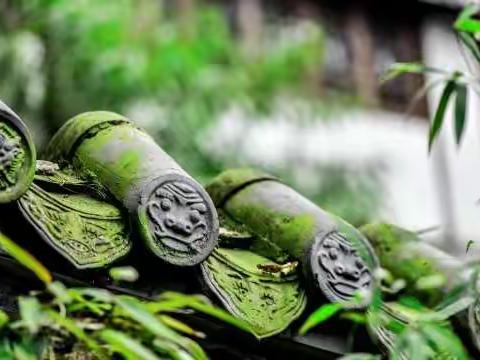 实战演练 共筑防线---小洛纣小学疫情防控实操演练