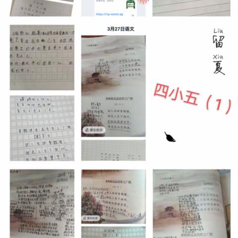 “五年级语文组停课不停学”第七期