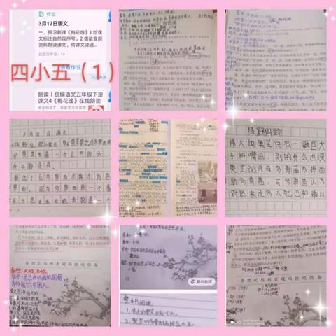 “五年级组停课不停学”第五期