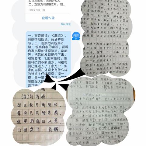 五年级语文组“停课不停学”第三期