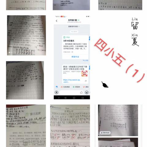 “五年级语文组停课不停学”第六期