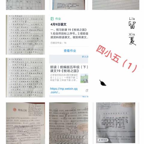 “五年级语文组停课不停学”第九期