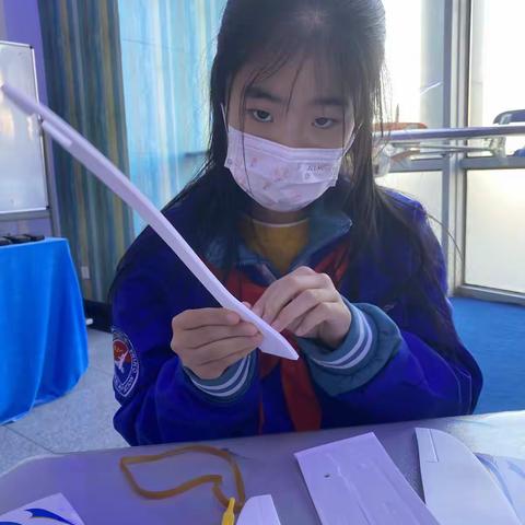 2022年1月16日下午手工制作照片集（一）