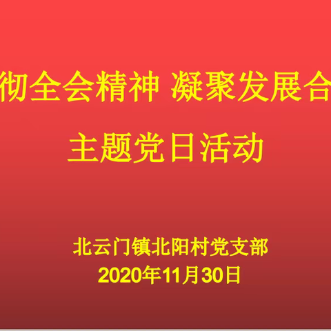 北阳村党支部组织开展了“贯彻全会精神 凝聚发展合力”主题党日活动