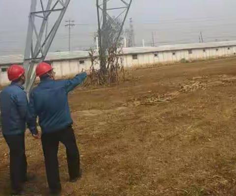 东明供电彩虹共产党员服务队“双节保电”特巡