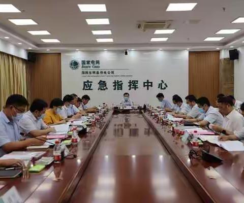 市公司副总经理王磊到东明公司参加菏泽天润电气有限公司2020年第二季度经济活动分析会暨安全分析会