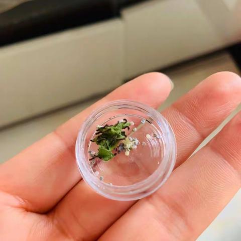 爱蹦跶的蚂蚱 💃 💃的美篇