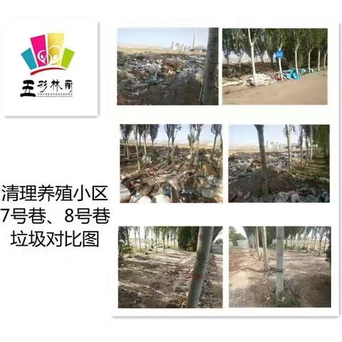 厚植为民情怀，纾民困惠民心