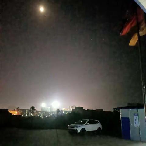 勤奋可爱的银象人