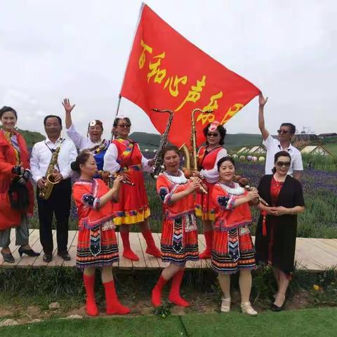  虫儿飞的美篇