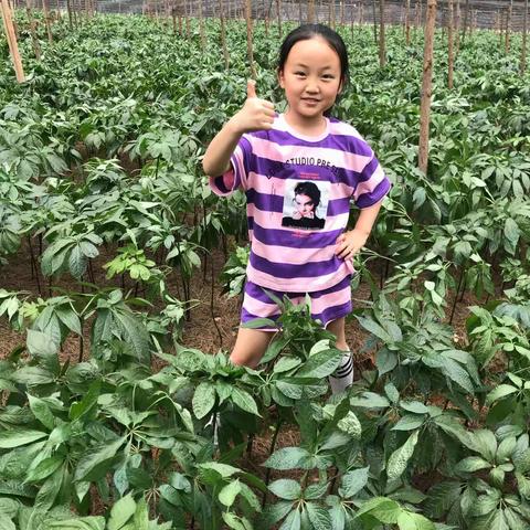 芳芳13577660010美篇